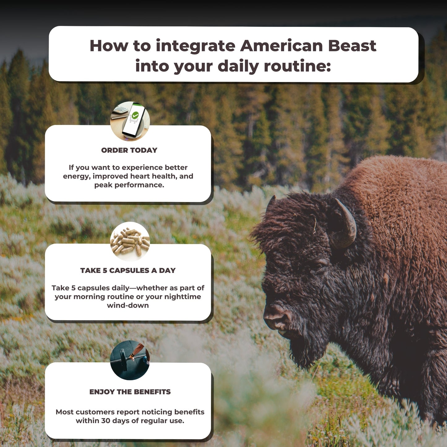 American Beast