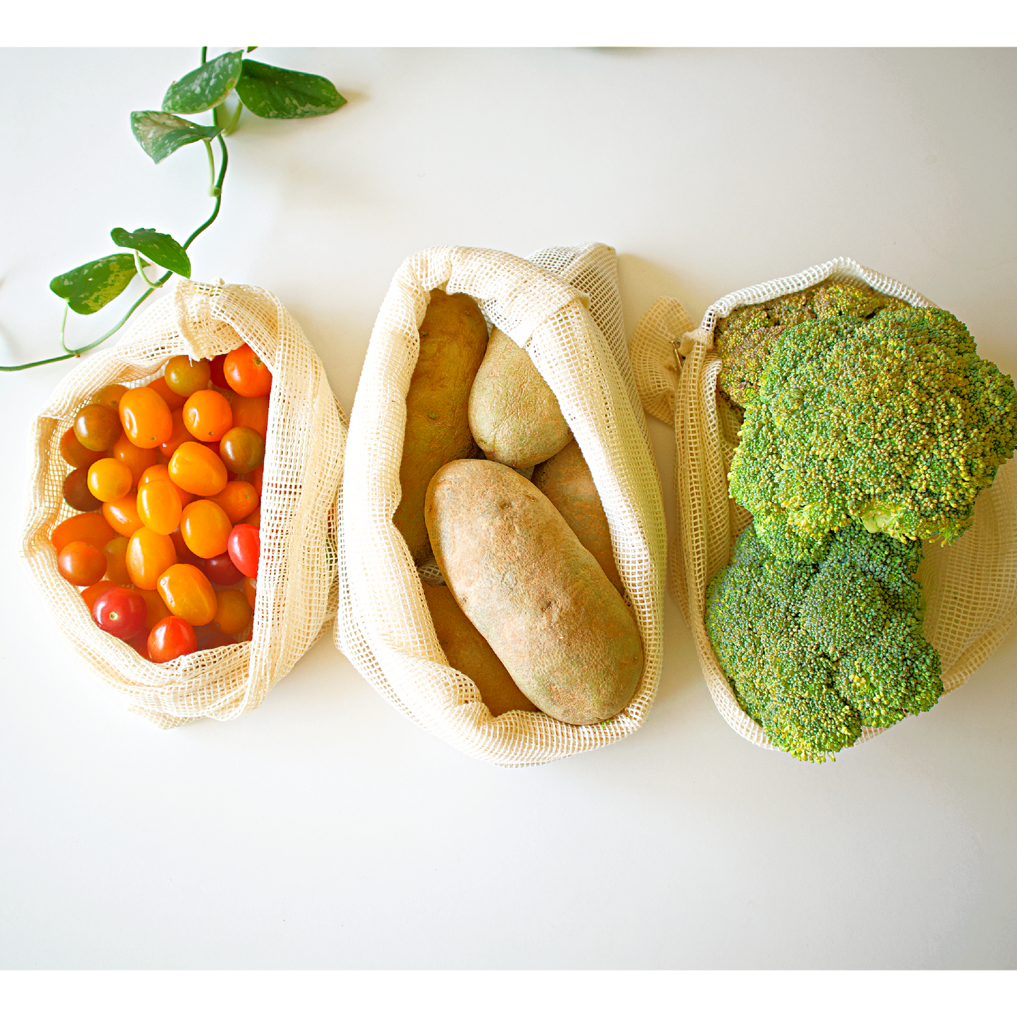 Produce Mesh Bags (Set of 3)