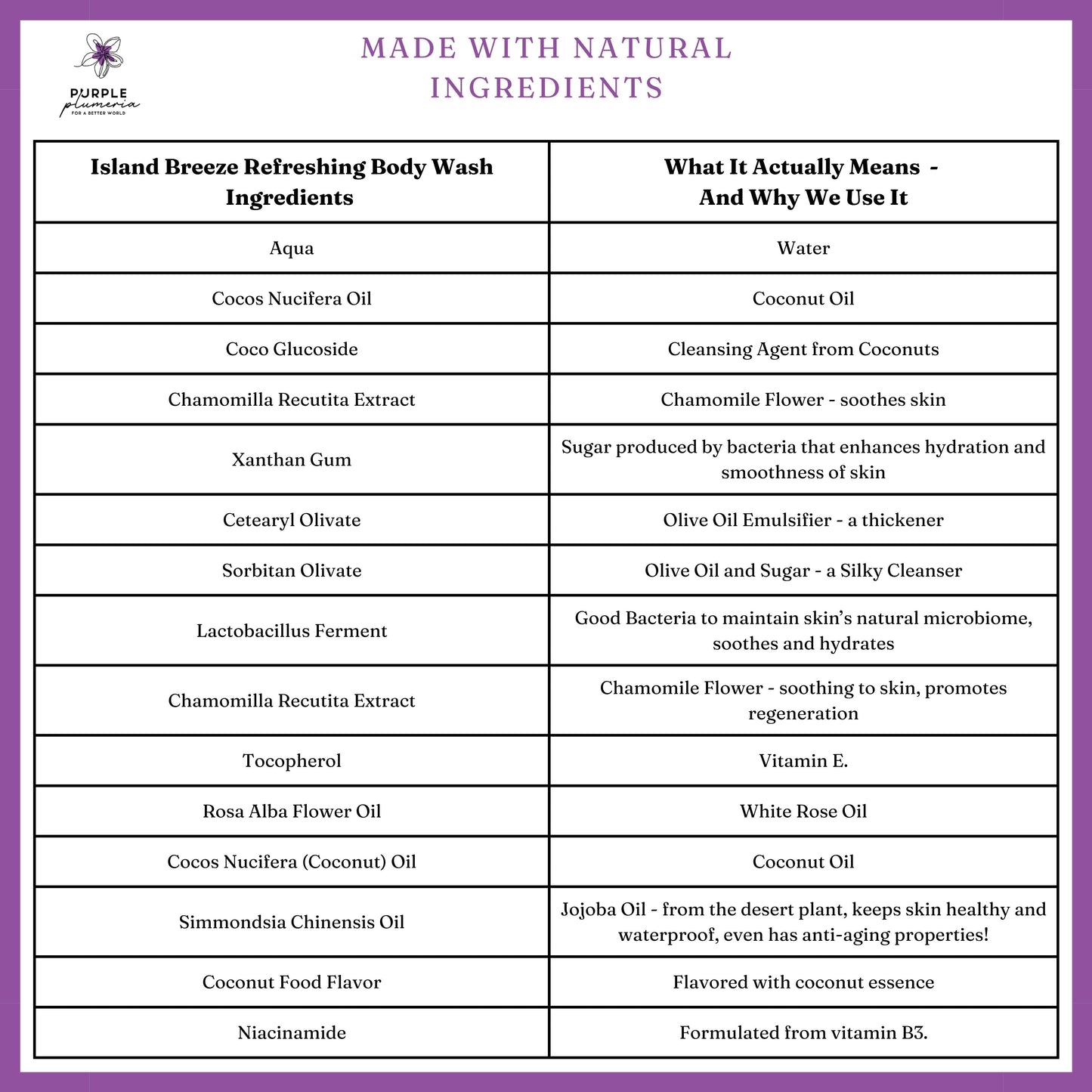 Natural Vegan Body Wash (Rose or Coconut) Gentle & Hydrating for All Skin Types