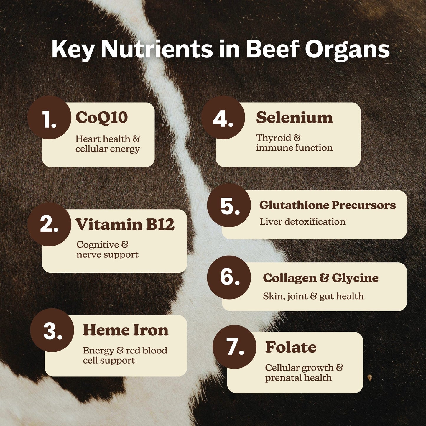 Grass-Fed Beef Organs