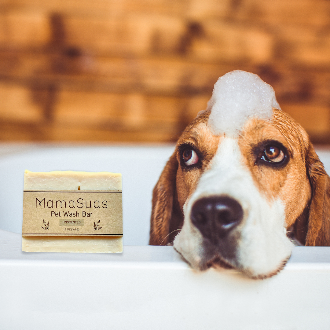 Pet Wash Bar Unscented