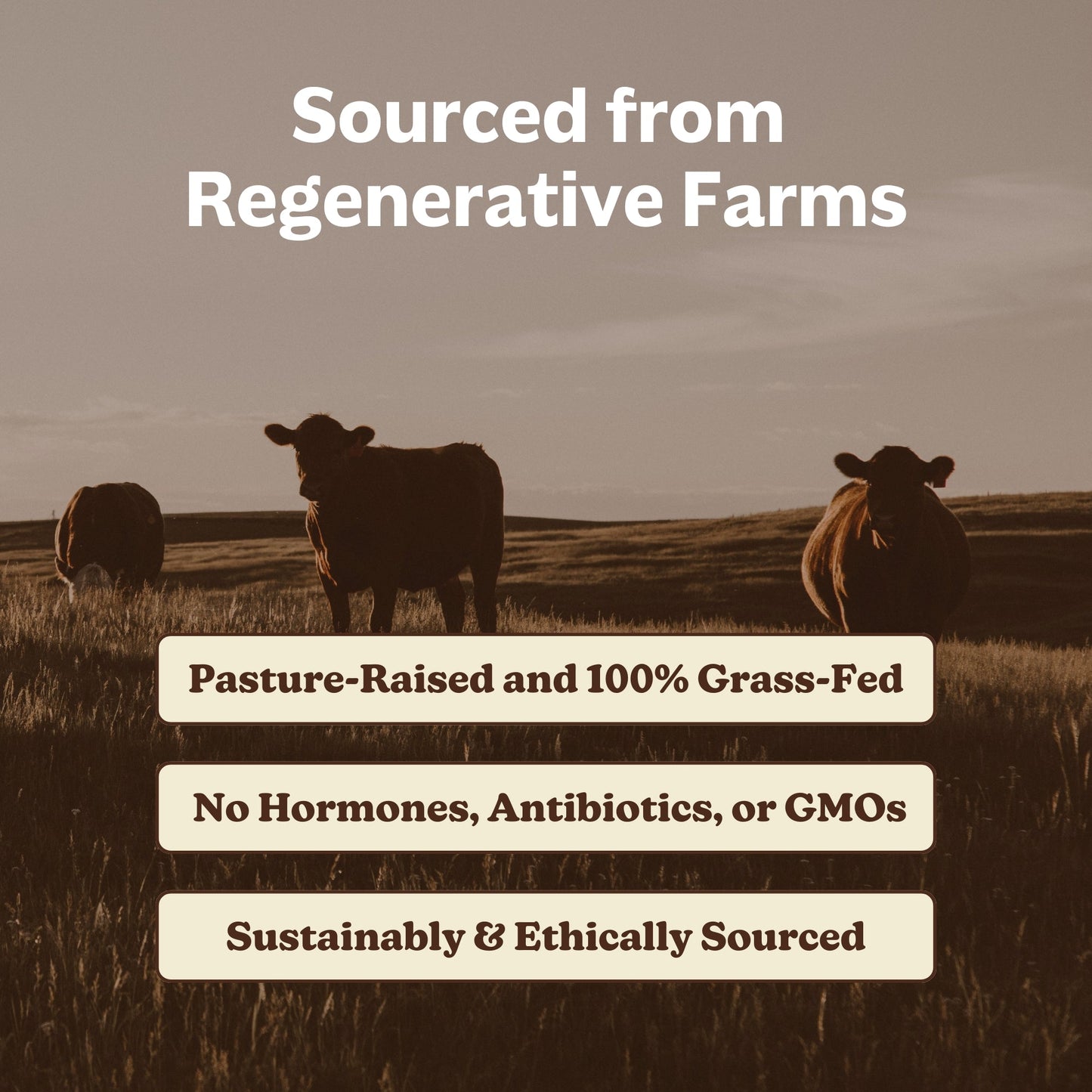 Grass-Fed Beef Organs