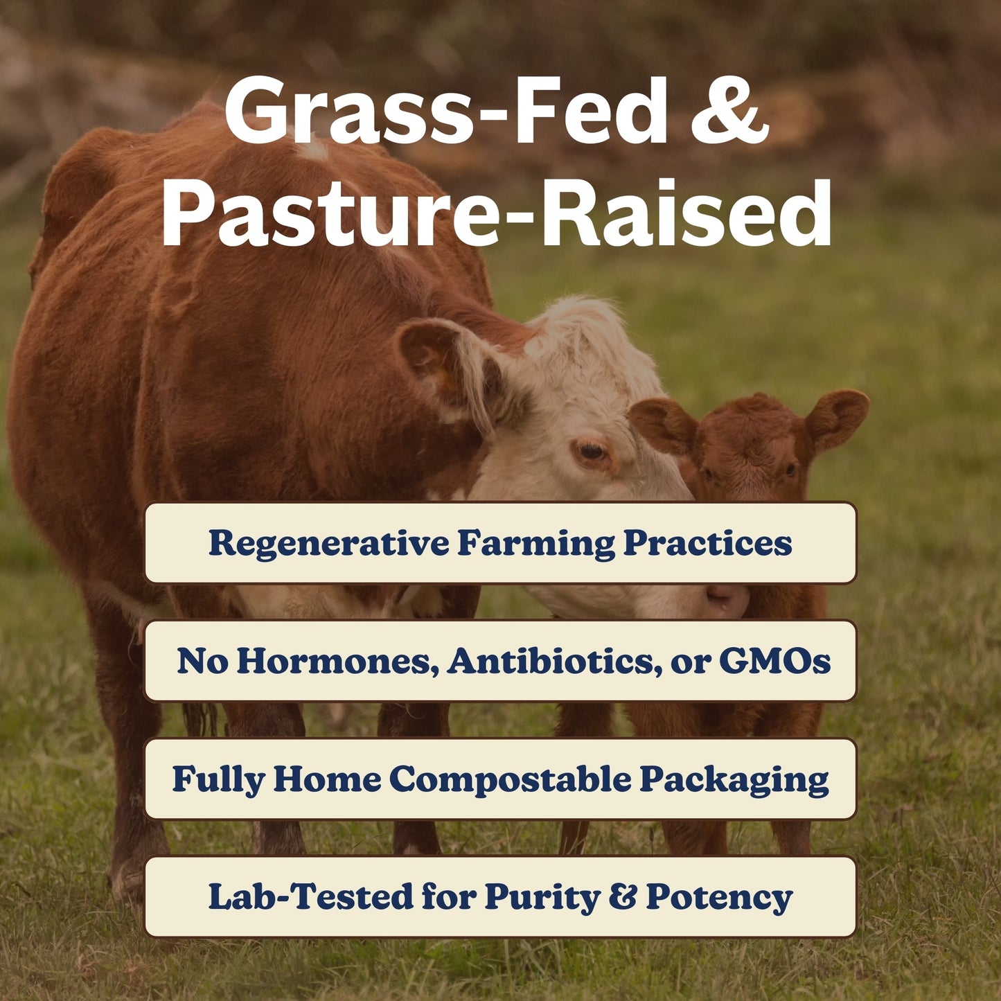 Grass-Fed Collagen & Colostrum