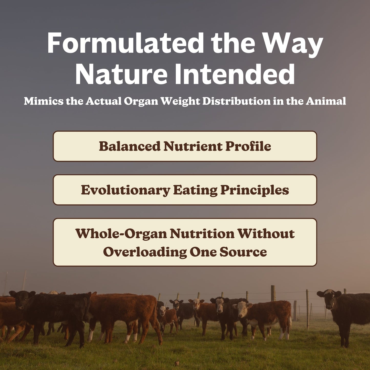 Grass-Fed Beef Organs