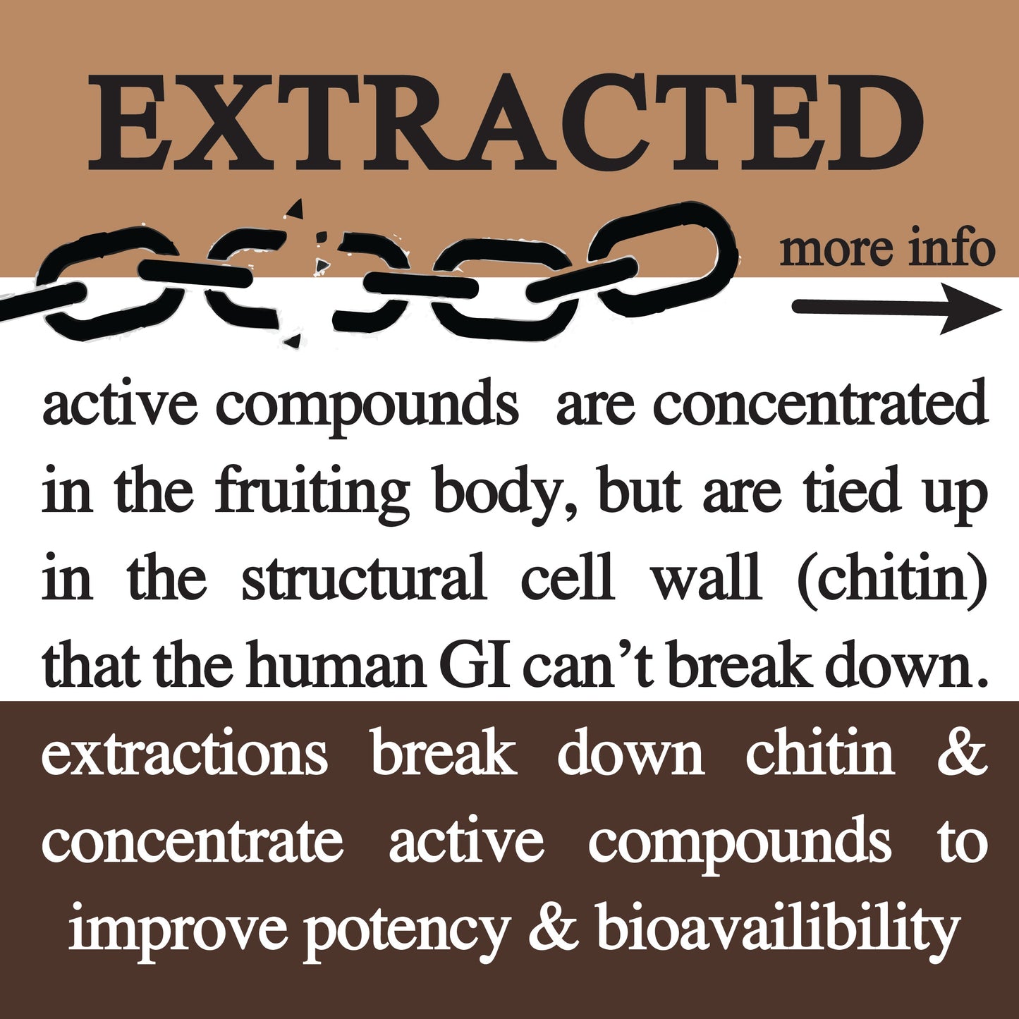 adaptive cacao. performance superfood.