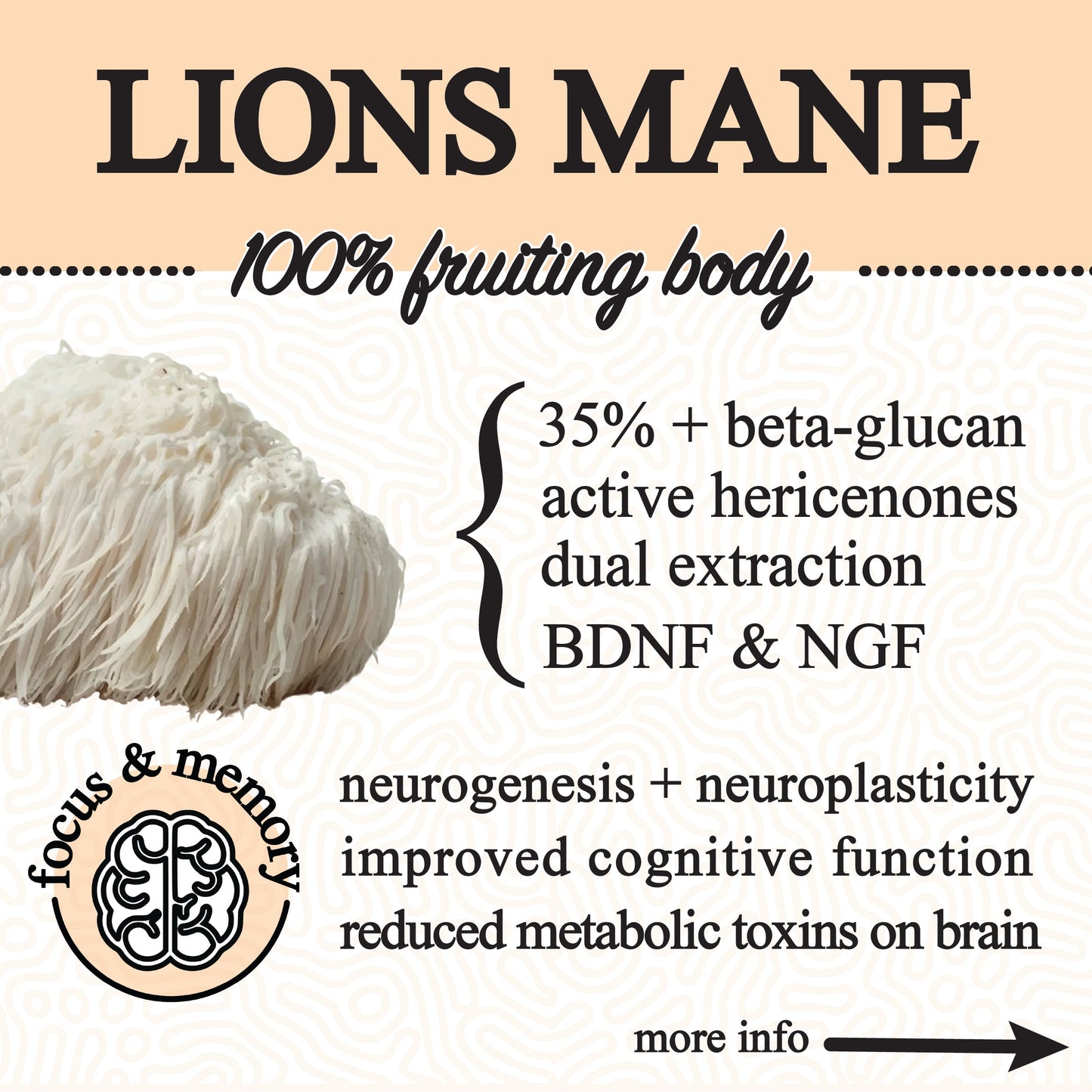 adaptive cacao. performance superfood.